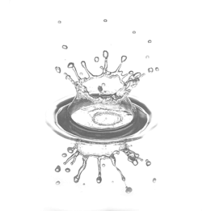Splish Splash